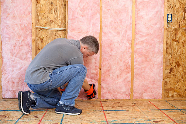 Types of Insulation We Offer in Wauchula, FL